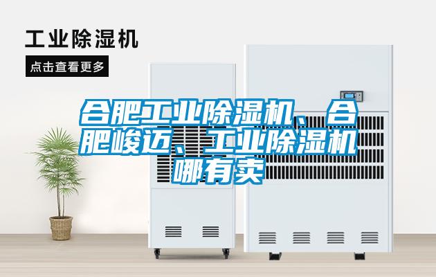 合肥工业蜜柚直播APP正版下载、合肥峻迈、工业蜜柚直播APP正版下载哪有卖