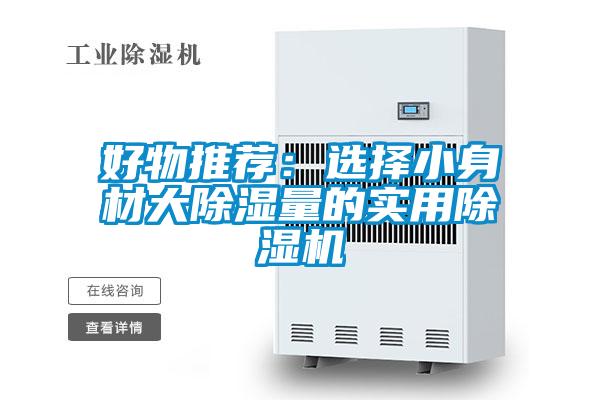 好物推荐：选择小身材大除湿量的实用蜜柚直播APP正版下载