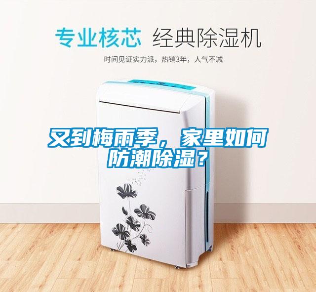 又到梅雨季，家里如何防潮除湿？
