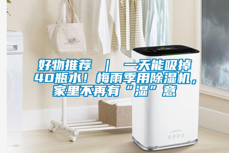 好物推荐 ｜ 一天能吸掉40瓶水！梅雨季用蜜柚直播APP正版下载，家里不再有“湿”意