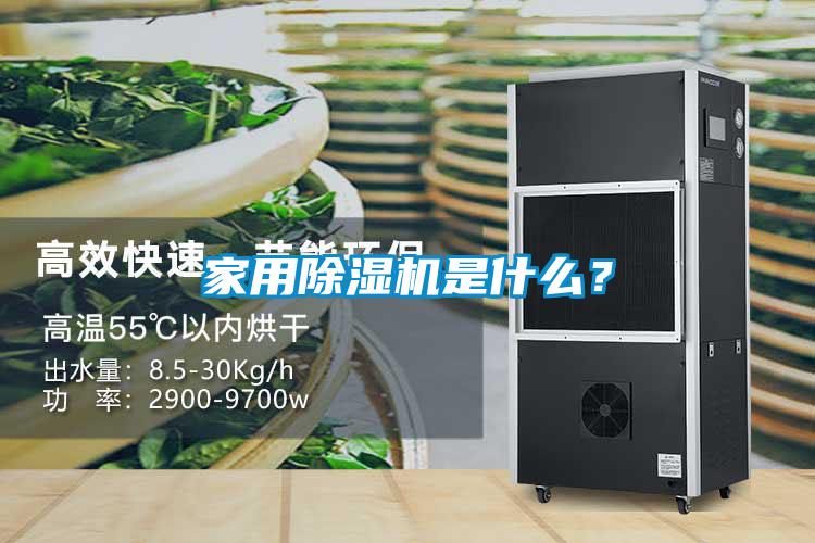 家用蜜柚直播APP正版下载是什么？