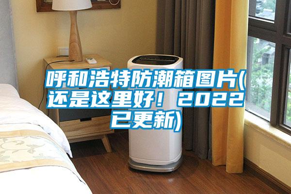 呼和浩特防潮箱图片(还是这里好！2022已更新)