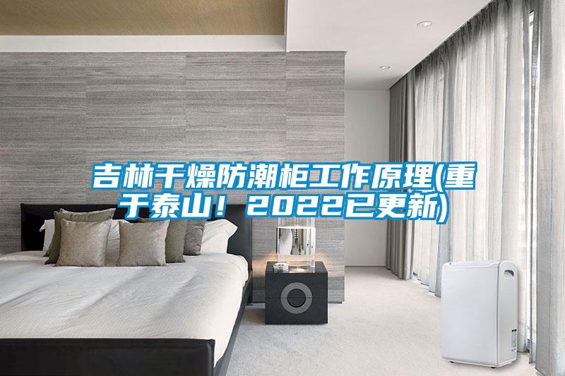 吉林干燥防潮柜工作原理(重于泰山！2022已更新)
