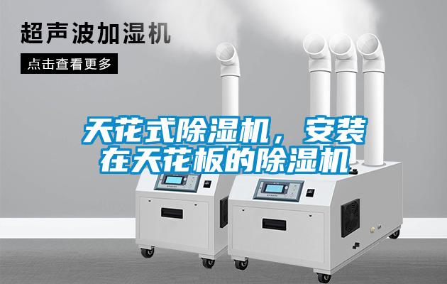 天花式蜜柚直播APP正版下载，安装在天花板的蜜柚直播APP正版下载