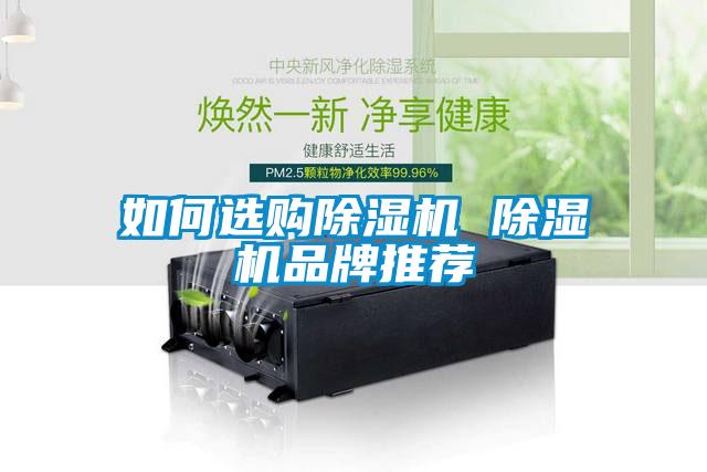 如何选购蜜柚直播APP正版下载 蜜柚直播APP正版下载品牌推荐