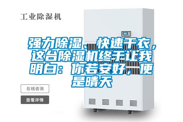 强力除湿、快速干衣，这台蜜柚直播APP正版下载终于让我明白：你若安好，便是晴天