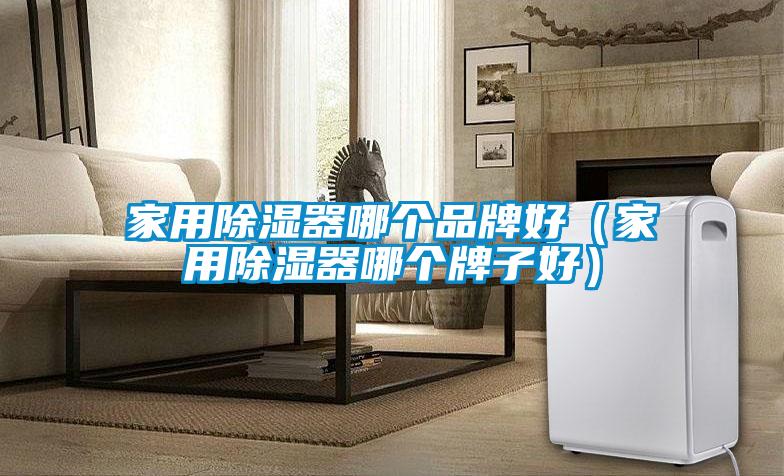 家用除湿器哪个品牌好（家用除湿器哪个牌子好）