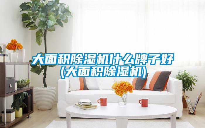 大面积蜜柚直播APP正版下载什么牌子好(大面积蜜柚直播APP正版下载)