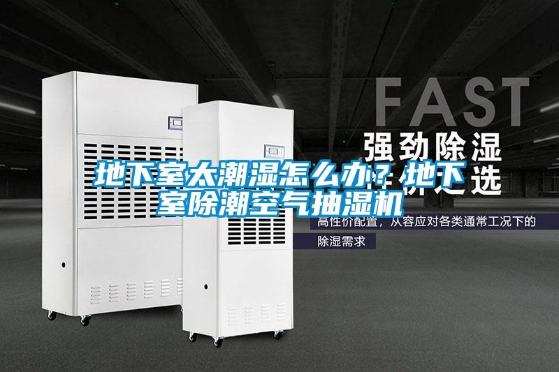 地下室太潮湿怎么办？地下室除潮空气抽湿机