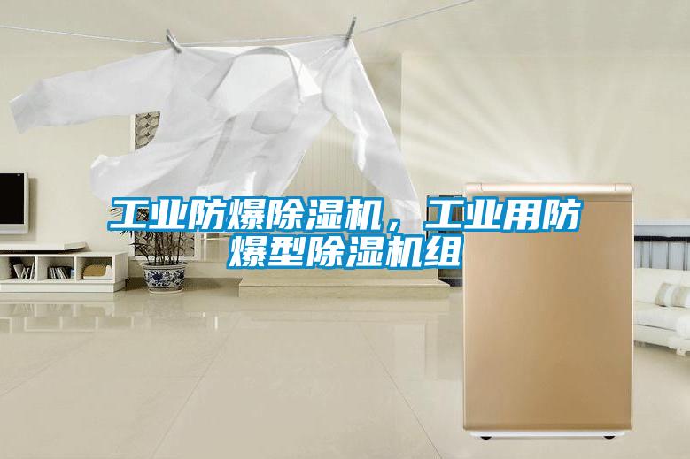 工业防爆蜜柚直播APP正版下载，工业用防爆型蜜柚直播APP正版下载组