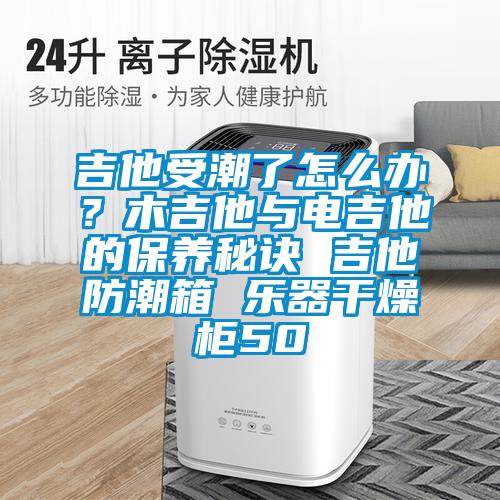 吉他受潮了怎么办？木吉他与电吉他的保养秘诀 吉他防潮箱 乐器干燥柜50