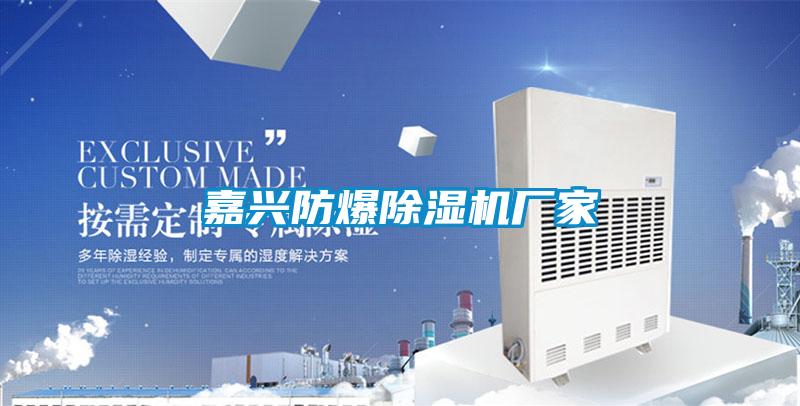 嘉兴防爆蜜柚直播APP正版下载厂家