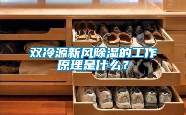 双冷源新风除湿的工作原理是什么？