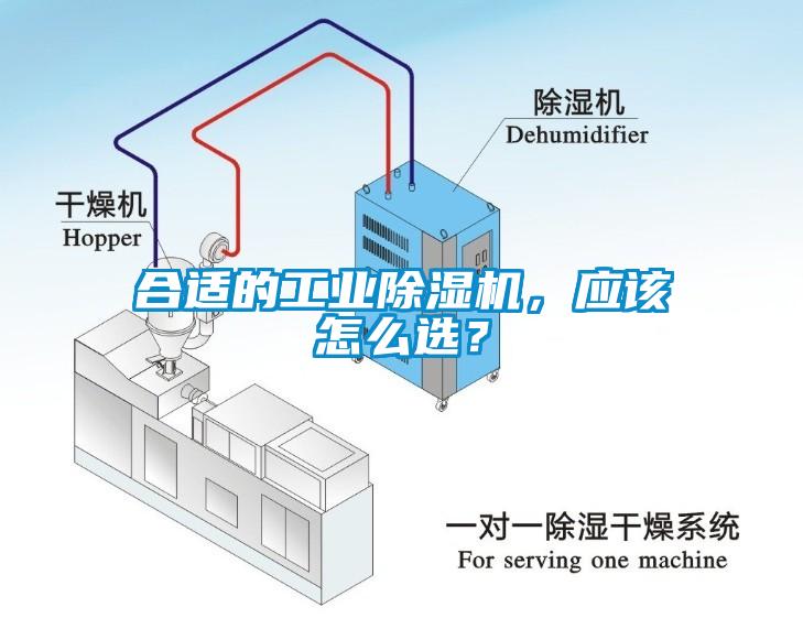 合适的工业蜜柚直播APP正版下载，应该怎么选？