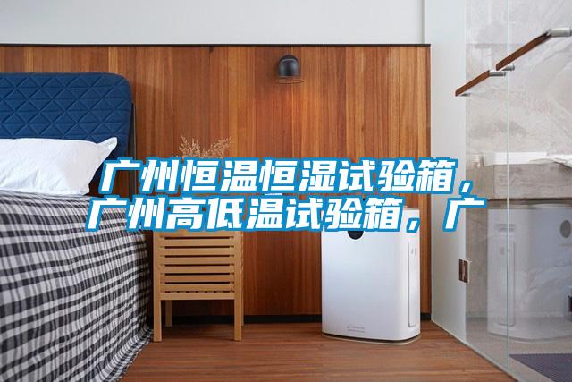 广州恒温恒湿试验箱，广州高低温试验箱，广