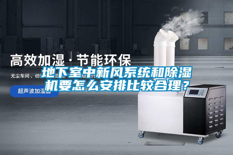 地下室中新风系统和蜜柚直播APP正版下载要怎么安排比较合理？
