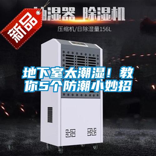 地下室太潮湿！教你5个防潮小妙招