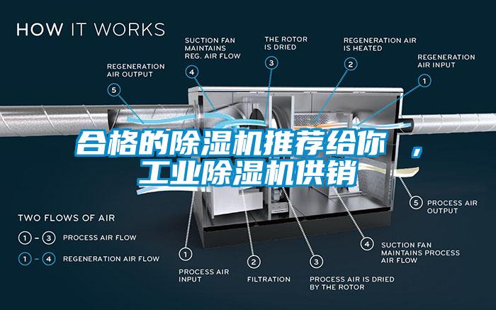 合格的蜜柚直播APP正版下载推荐给你 ，工业蜜柚直播APP正版下载供销