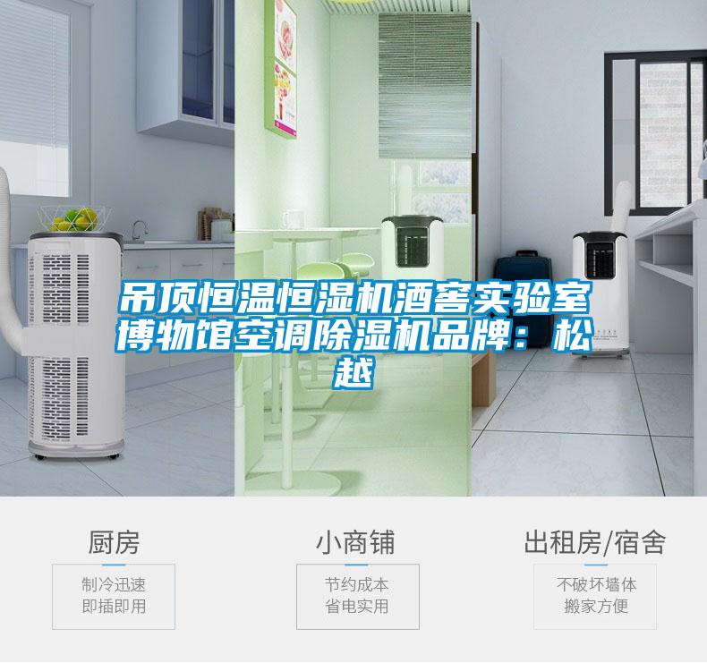 吊顶恒温恒湿机酒窖实验室博物馆空调蜜柚直播APP正版下载品牌：松越