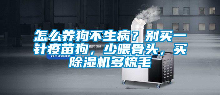 怎么养狗不生病？别买一针疫苗狗，少喂骨头，买蜜柚直播APP正版下载多梳毛