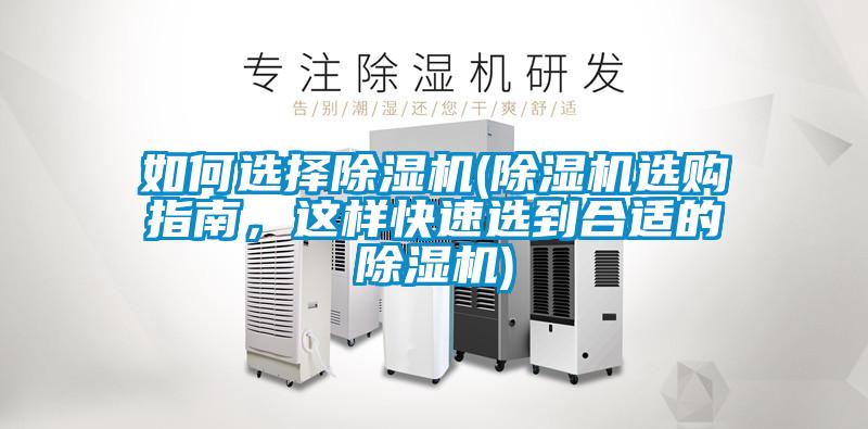 如何选择蜜柚直播APP正版下载(蜜柚直播APP正版下载选购指南，这样快速选到合适的蜜柚直播APP正版下载)