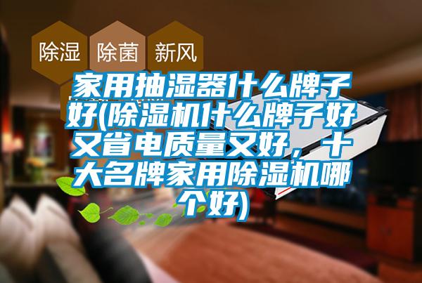 家用抽湿器什么牌子好(蜜柚直播APP正版下载什么牌子好又省电质量又好，十大名牌家用蜜柚直播APP正版下载哪个好)