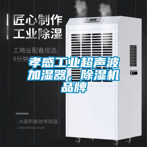 孝感工业超声波加湿器，蜜柚直播APP正版下载品牌
