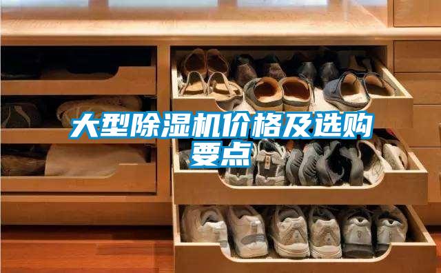 大型蜜柚直播APP正版下载价格及选购要点