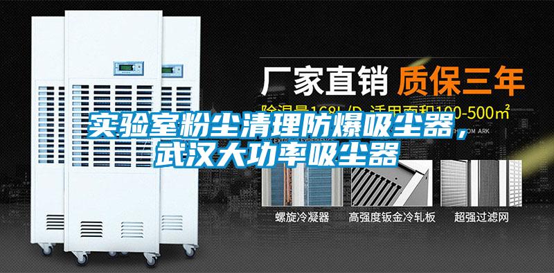 实验室粉尘清理防爆吸尘器，武汉大功率吸尘器