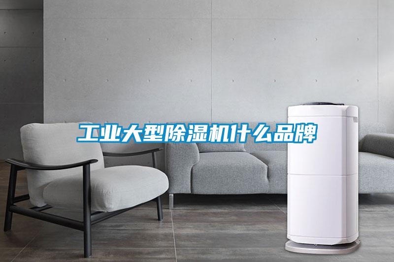 工业大型蜜柚直播APP正版下载什么品牌