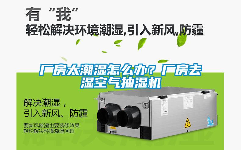 厂房太潮湿怎么办？厂房去湿空气抽湿机