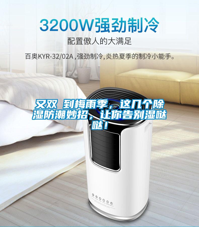 又双叒到梅雨季，这几个除湿防潮妙招，让你告别湿哒哒！