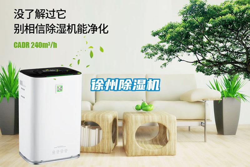 徐州蜜柚直播APP正版下载