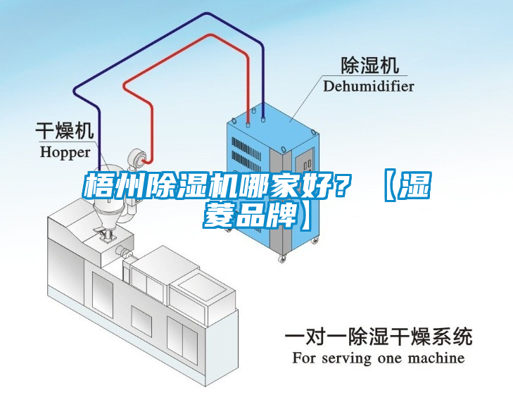 梧州蜜柚直播APP正版下载哪家好？【湿菱品牌】