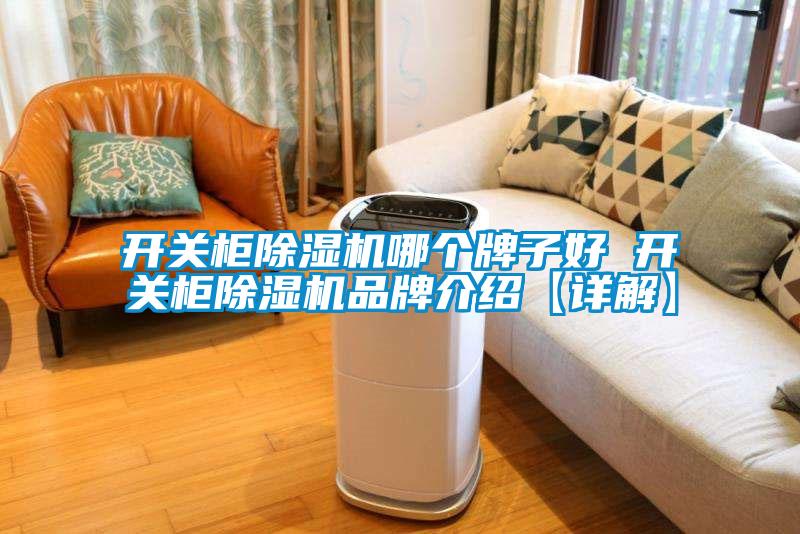 开关柜蜜柚直播APP正版下载哪个牌子好 开关柜蜜柚直播APP正版下载品牌介绍【详解】