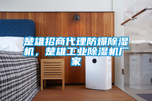 楚雄招商代理防爆蜜柚直播APP正版下载，楚雄工业蜜柚直播APP正版下载厂家