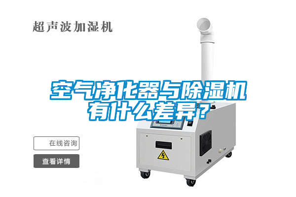 空气净化器与蜜柚直播APP正版下载有什么差异？