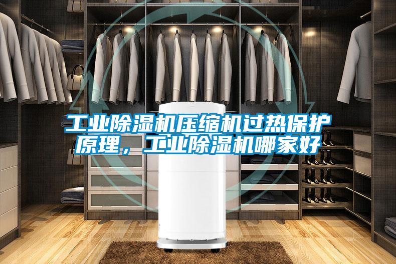 工业蜜柚直播APP正版下载压缩机过热保护原理，工业蜜柚直播APP正版下载哪家好