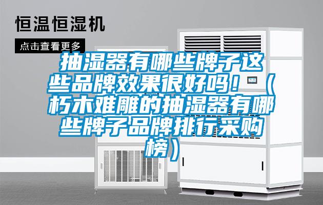 抽湿器有哪些牌子这些品牌效果很好吗！（朽木难雕的抽湿器有哪些牌子品牌排行采购榜）