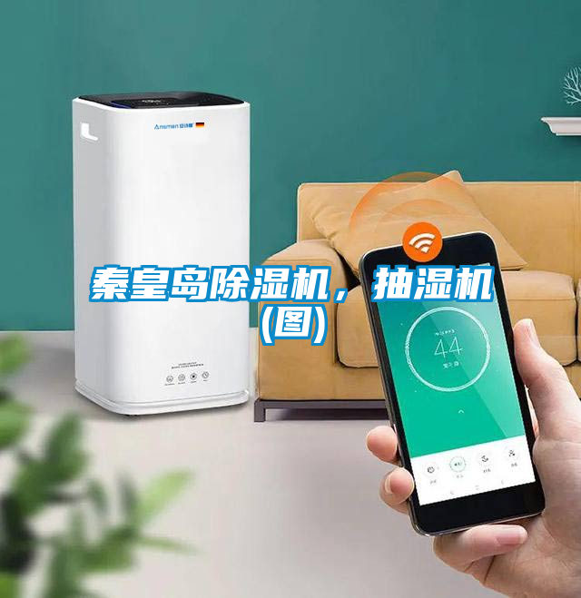 秦皇岛蜜柚直播APP正版下载，抽湿机(图)