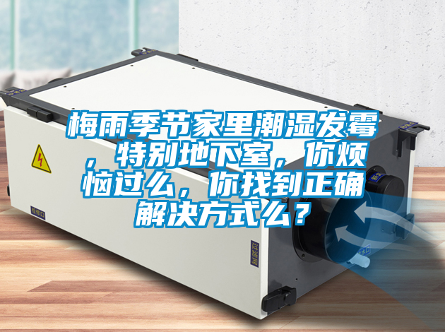梅雨季节家里潮湿发霉，特别地下室，你烦恼过么，你找到正确解决方式么？