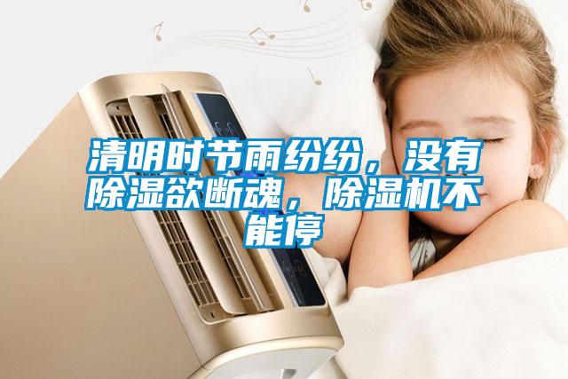 清明时节雨纷纷，没有除湿欲断魂，蜜柚直播APP正版下载不能停