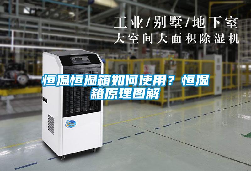 恒温恒湿箱如何使用？恒湿箱原理图解