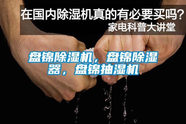 盘锦蜜柚直播APP正版下载，盘锦除湿器，盘锦抽湿机