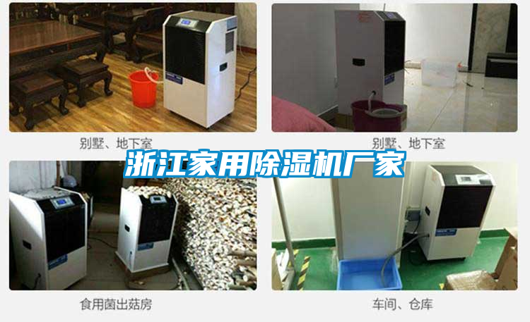 浙江家用蜜柚直播APP正版下载厂家