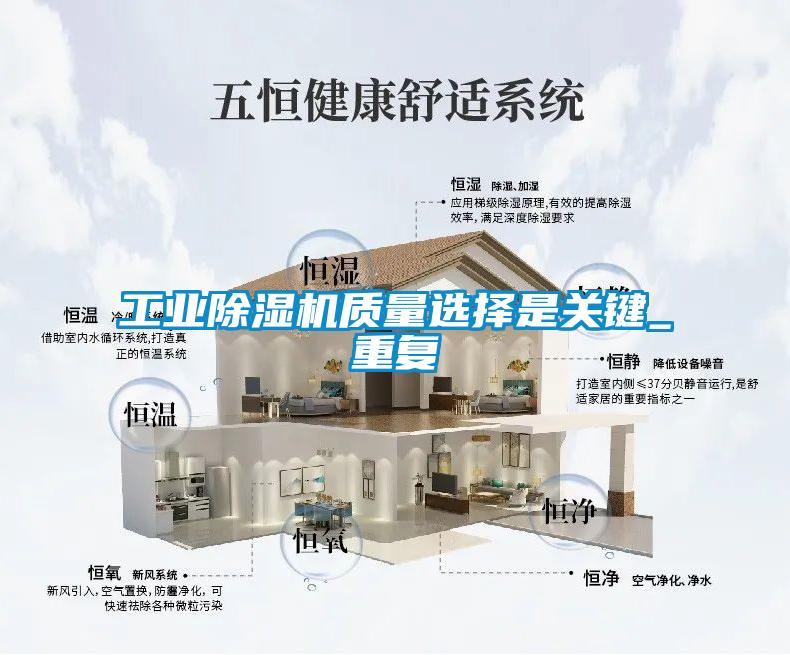 工业蜜柚直播APP正版下载质量选择是关键_重复