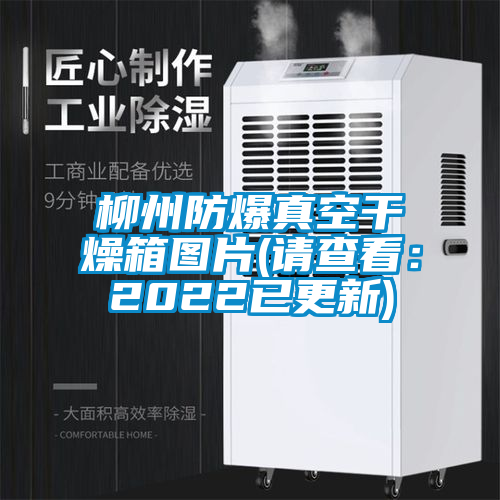 柳州防爆真空干燥箱图片(请查看：2022已更新)