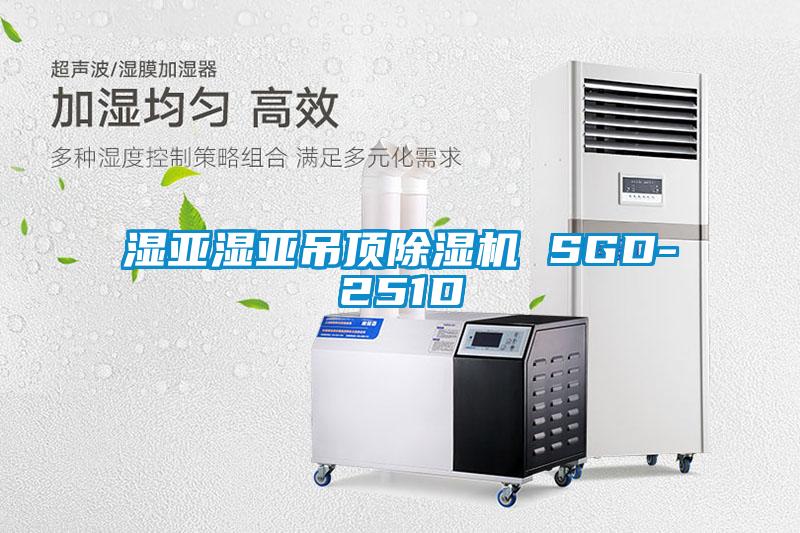 湿亚湿亚吊顶蜜柚直播APP正版下载 SGD-251D