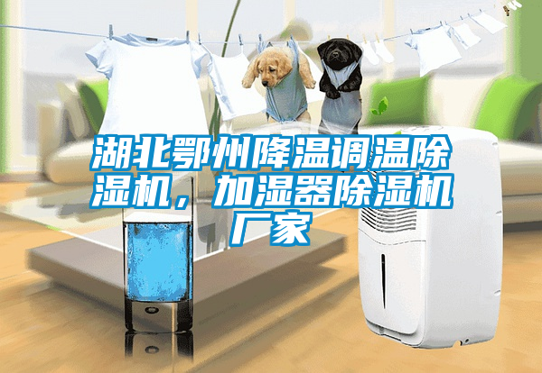 湖北鄂州降温调温蜜柚直播APP正版下载，加湿器蜜柚直播APP正版下载厂家