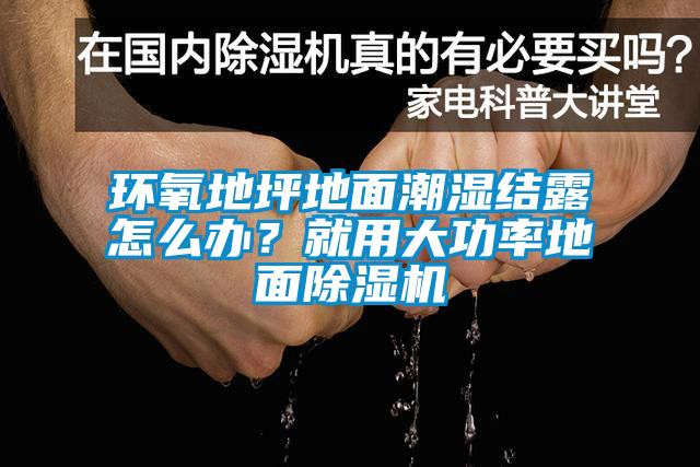 环氧地坪地面潮湿结露怎么办？就用大功率地面蜜柚直播APP正版下载